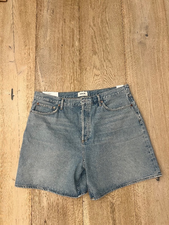 Agolde Pants - NWT AGOLDE Dame High Rise Baggy Shorts